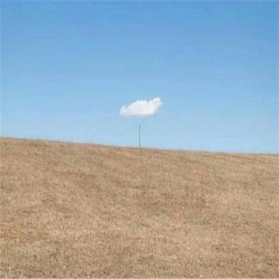 我在江湖有座城最新版下载